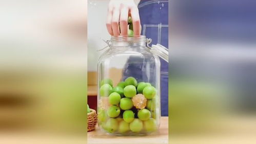 夏日冰饮罐 柠檬百香果玻璃罐与无脊椎动物的奇妙联想