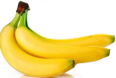 香蕉与无脊椎动物 一场意外的营养联想