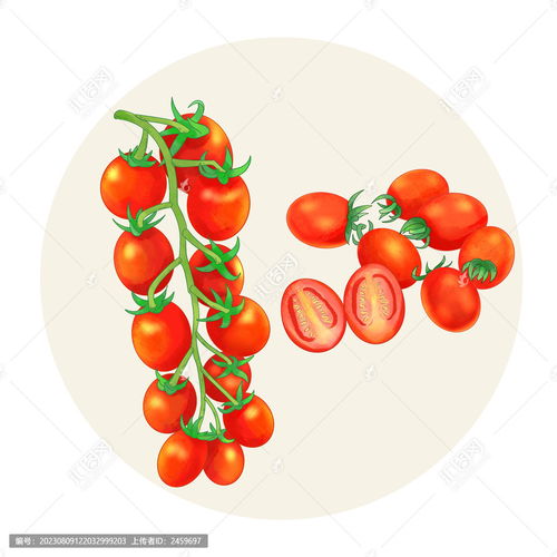 手绘水彩风格圣女果食品包装设计模板与无脊椎动物的创意融合